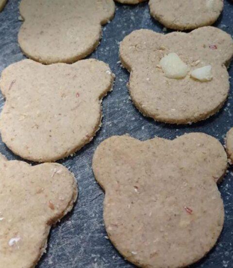 peluquería felina en quito