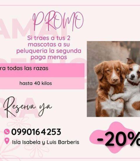 peluquería canina en quito